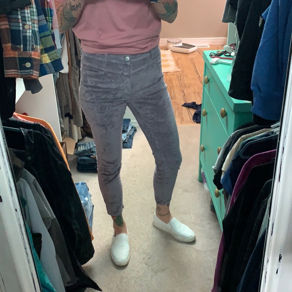 Closed velvet pant
